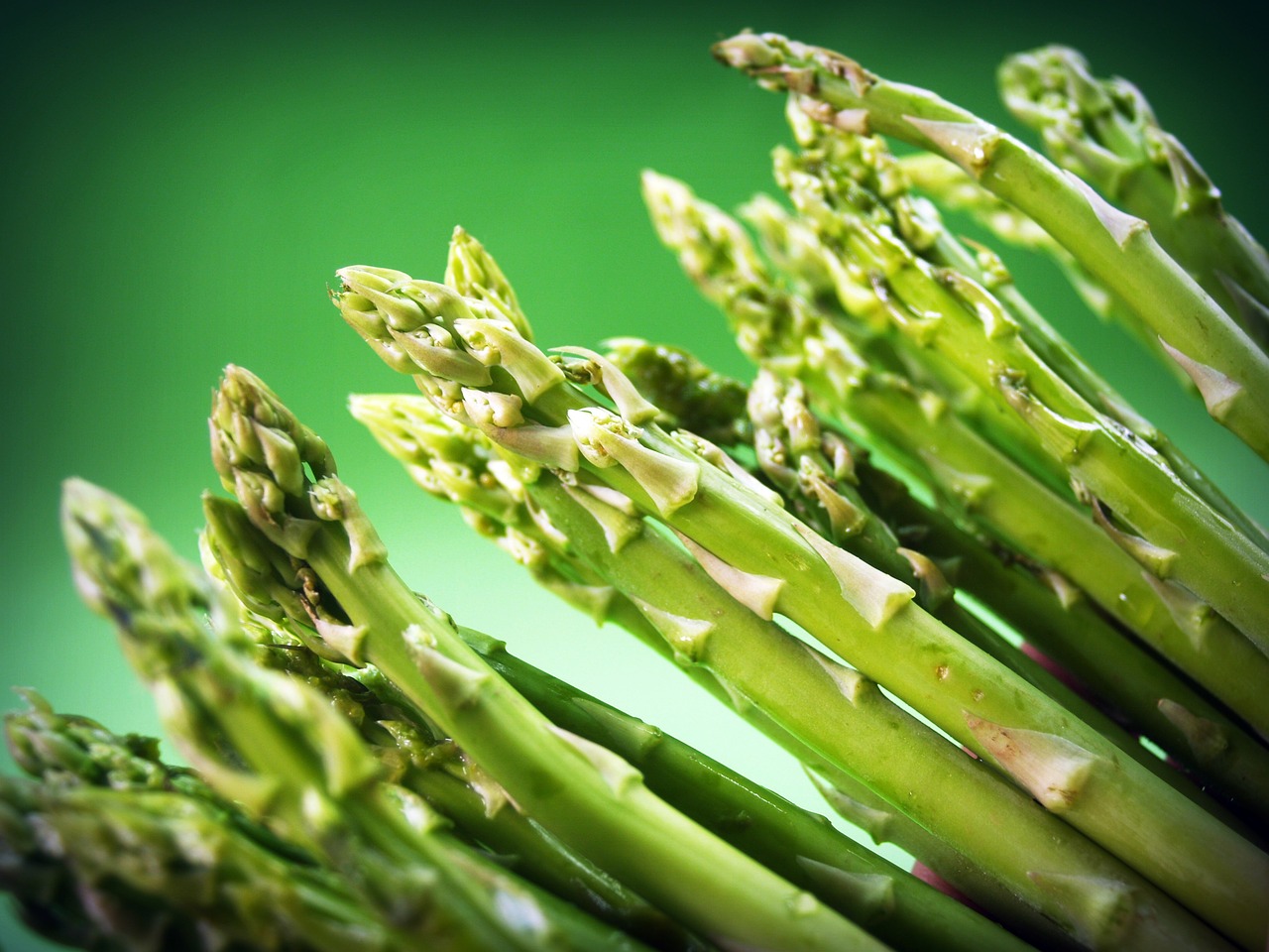 food asparagus gourmet free photo