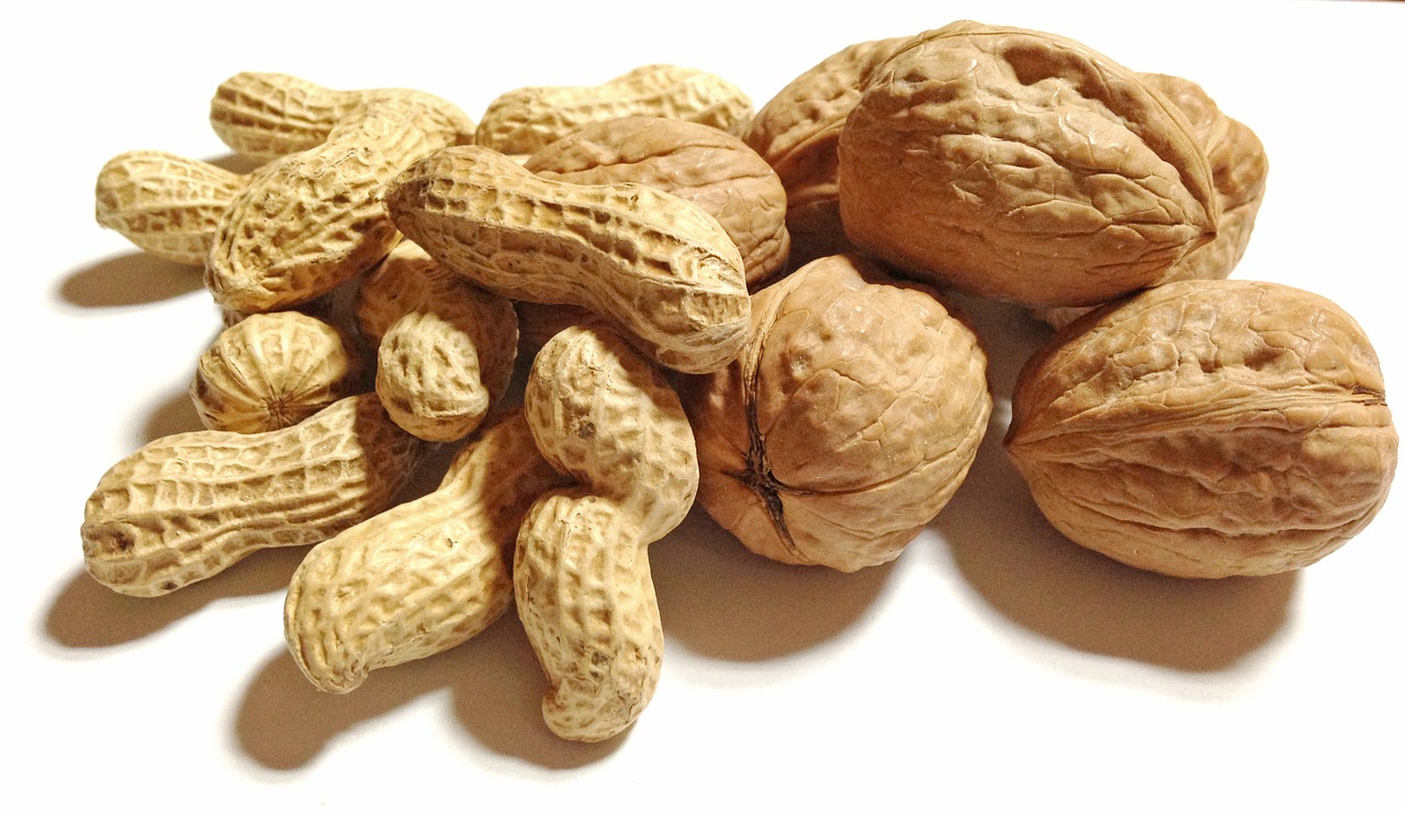 food nuts peanut free photo