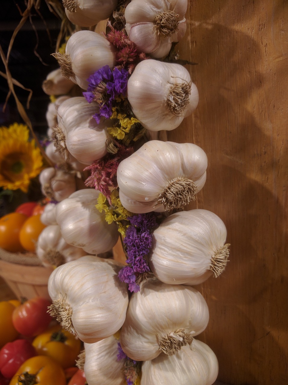 garlic vegetable group free photo