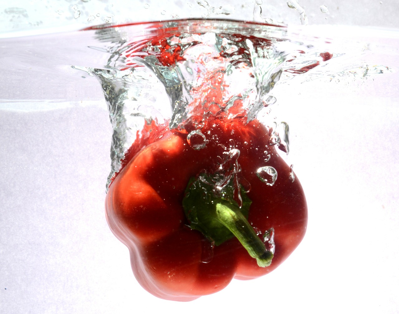 food paprika water free photo