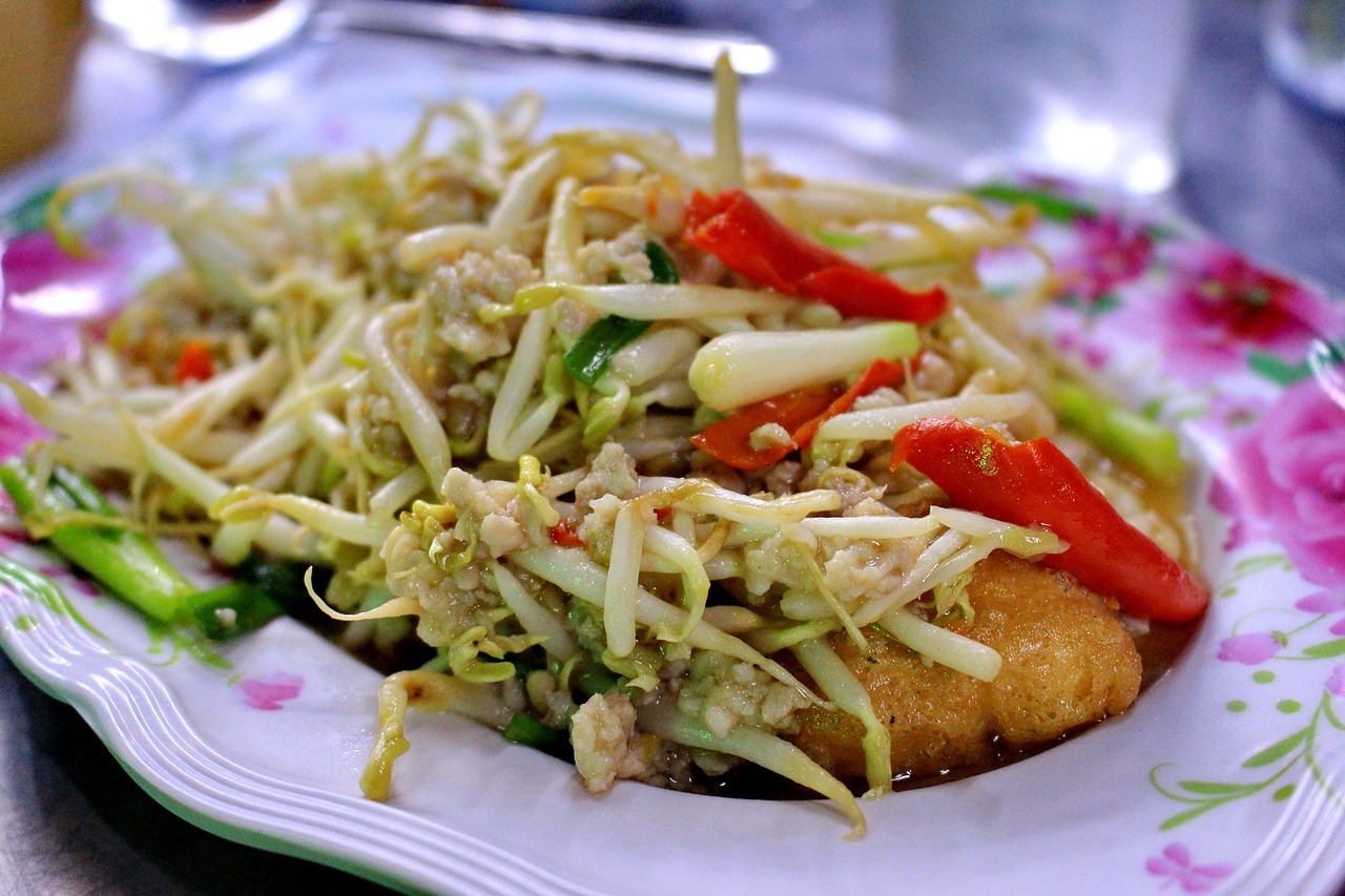 food bean sprouts dish free photo