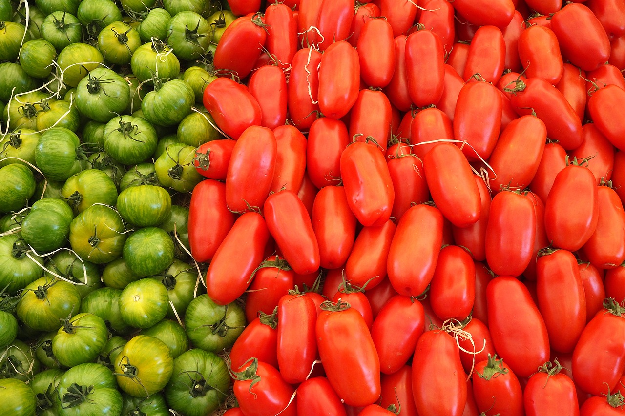 food fresh tomatoes free photo