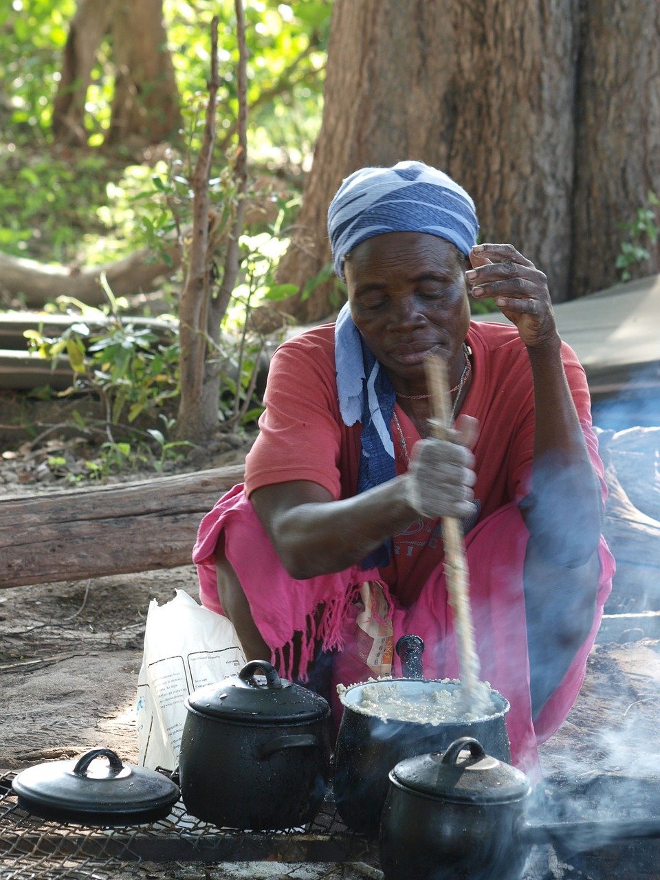 food cook botswana free photo