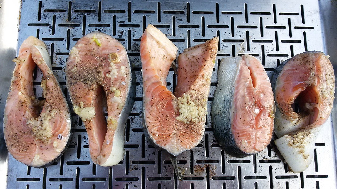 food fish salmon free photo