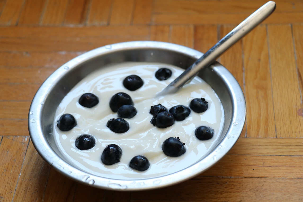 food yogurt snack free photo