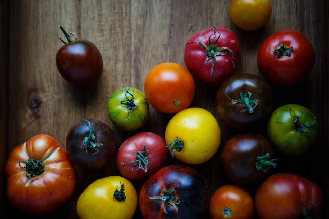 food vegetables rounds free photo