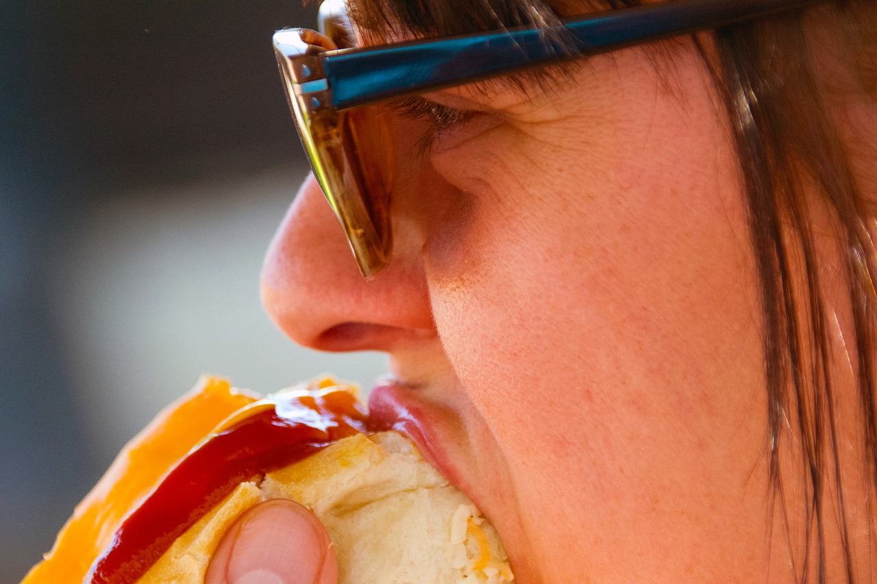 food hotdog sunglasses free photo