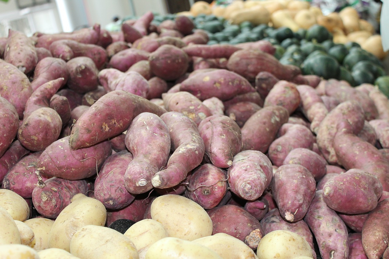 food sweet potato fresh vegetables free photo