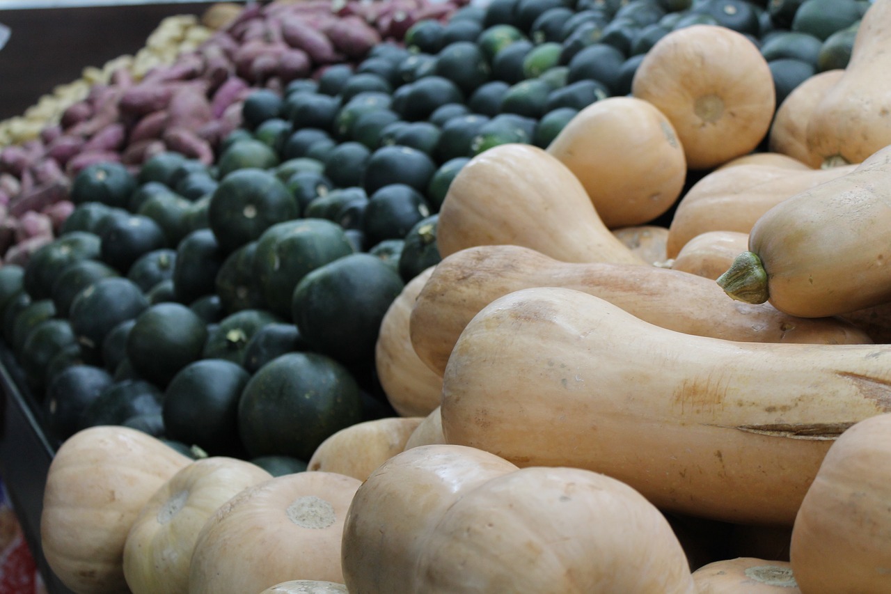 food vegetable butternut free photo