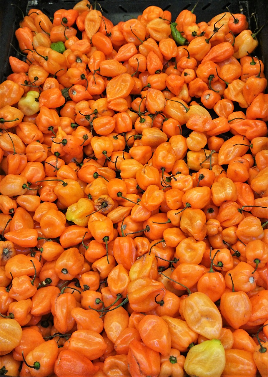 food peppers ingredient free photo