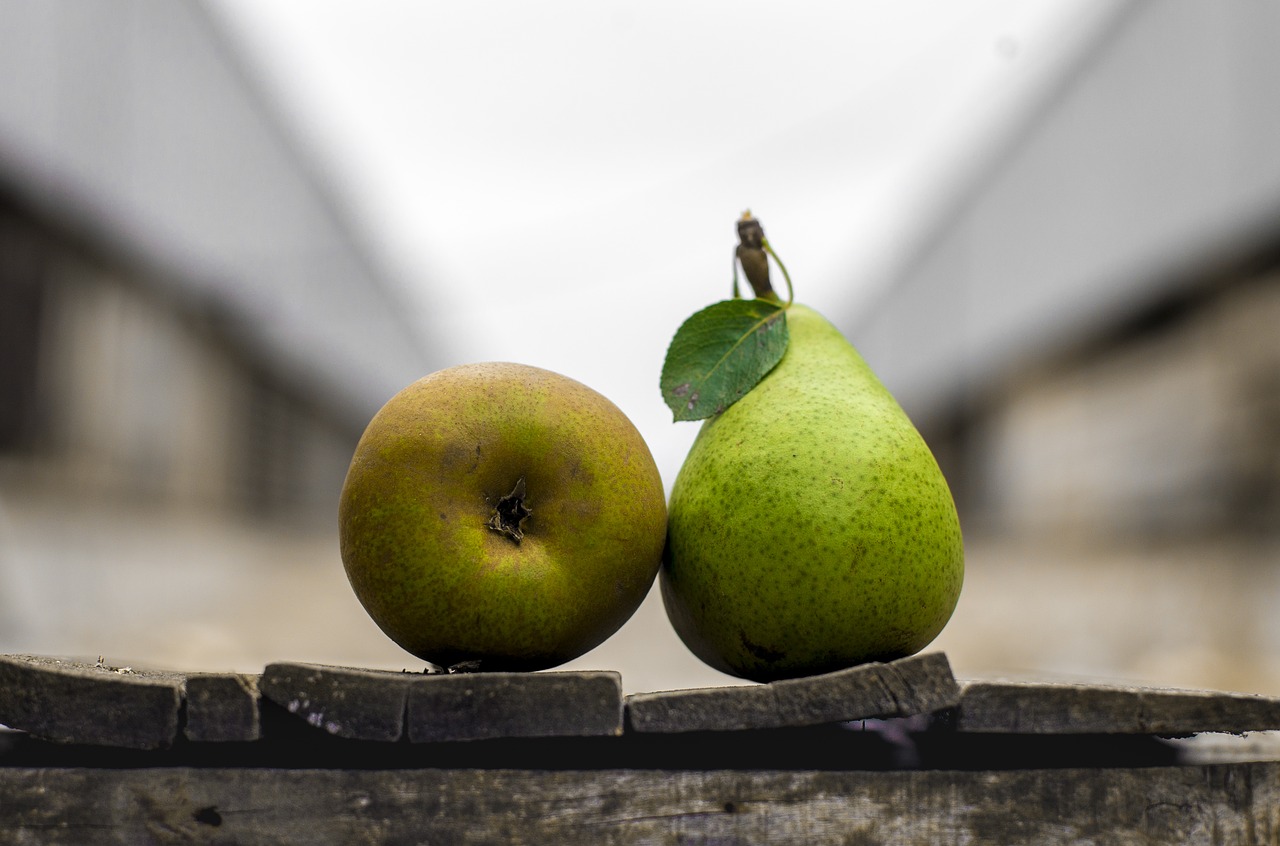 food fruit fresh free photo