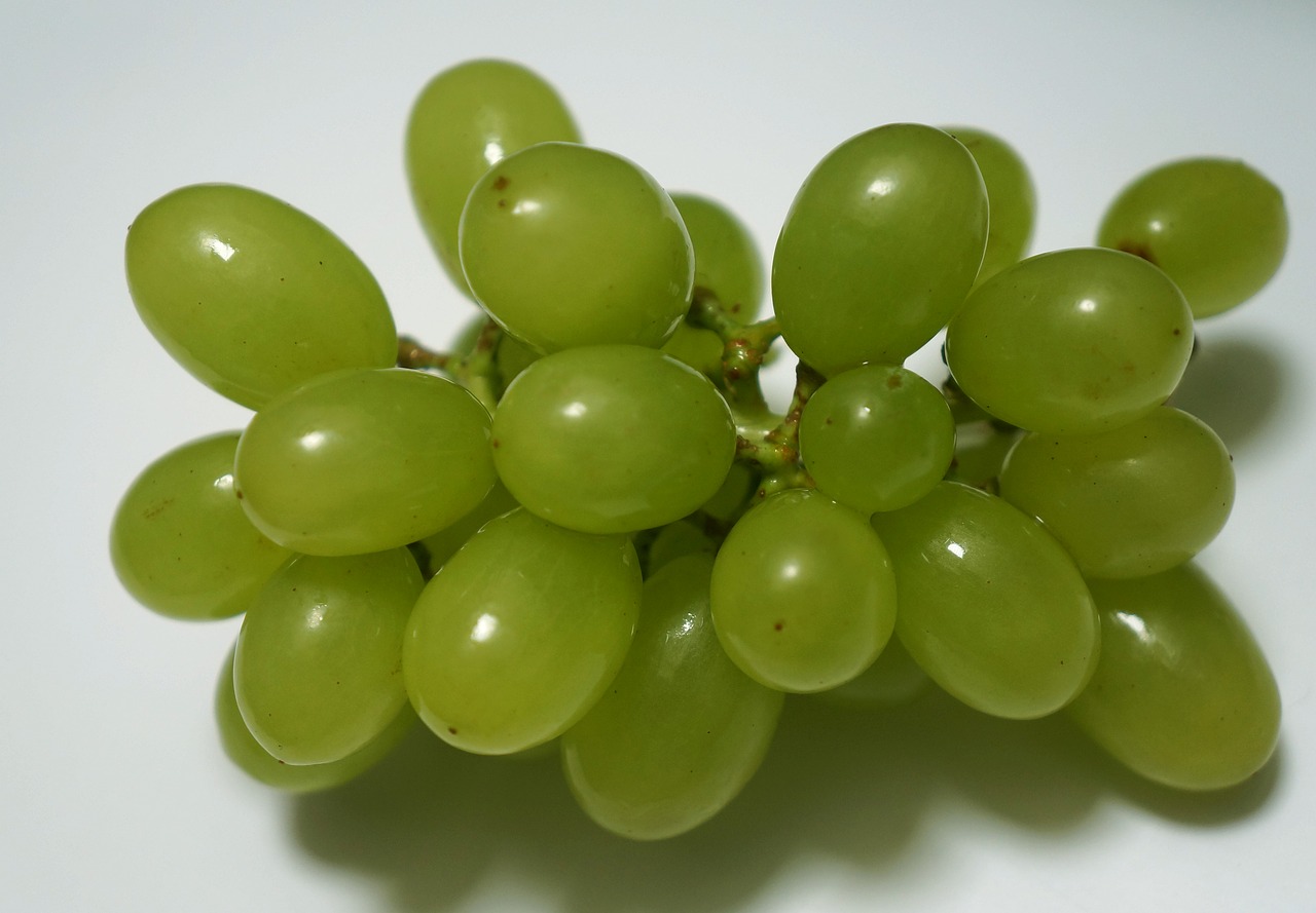 food green grapes ninh thuan free photo