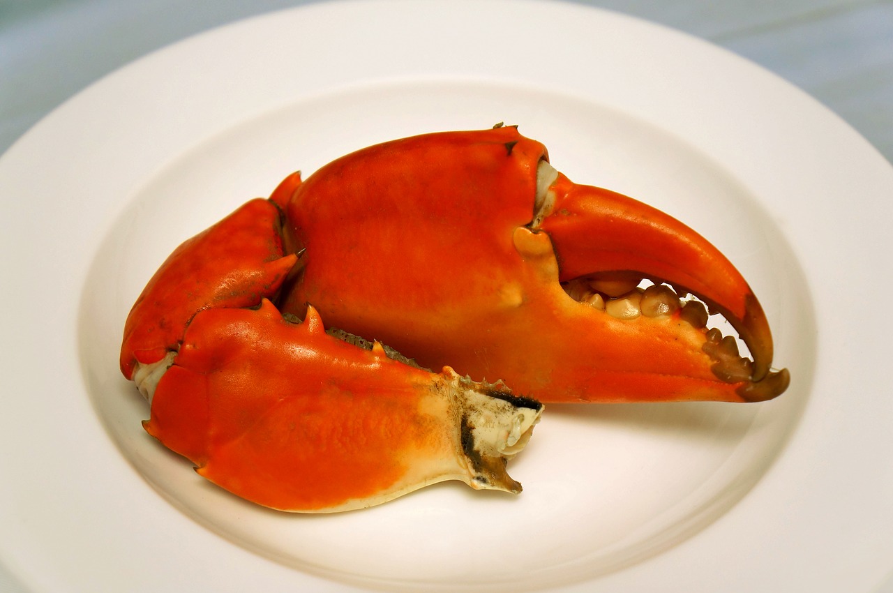 food as crab ca mau free photo