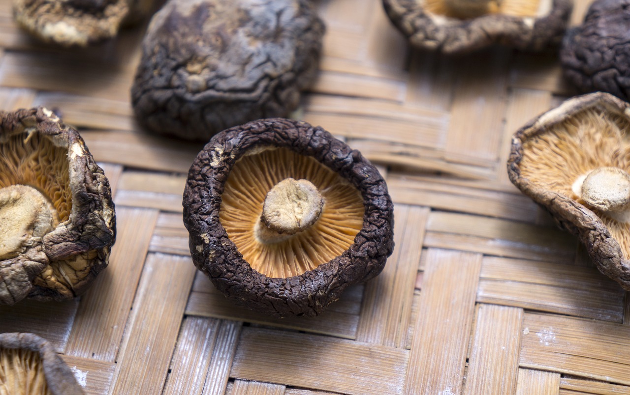 food shiitake mushrooms dried free photo