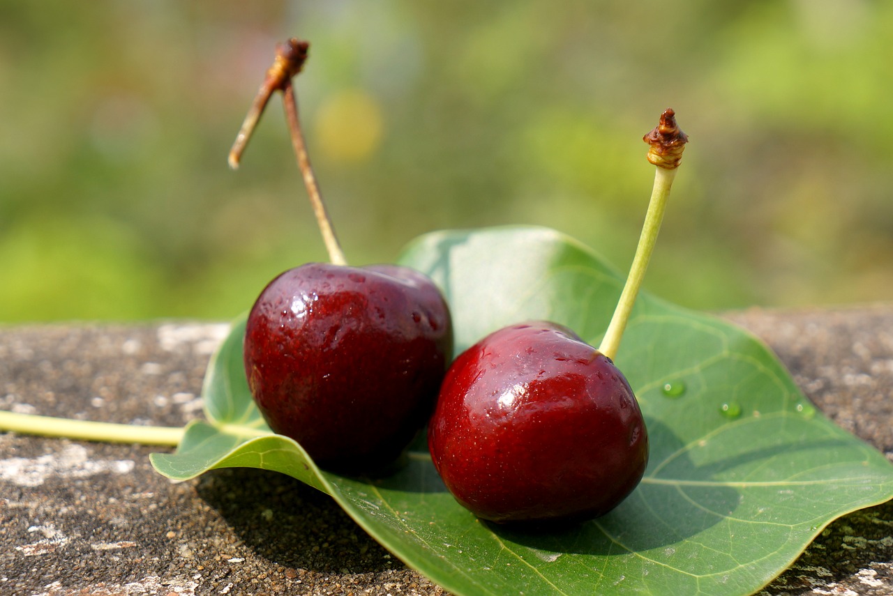 food the cherry australia nine dream free photo