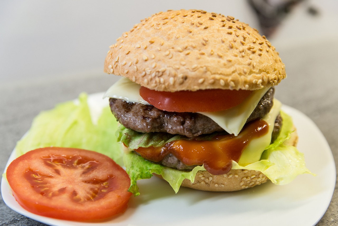 food minced meat burger free photo