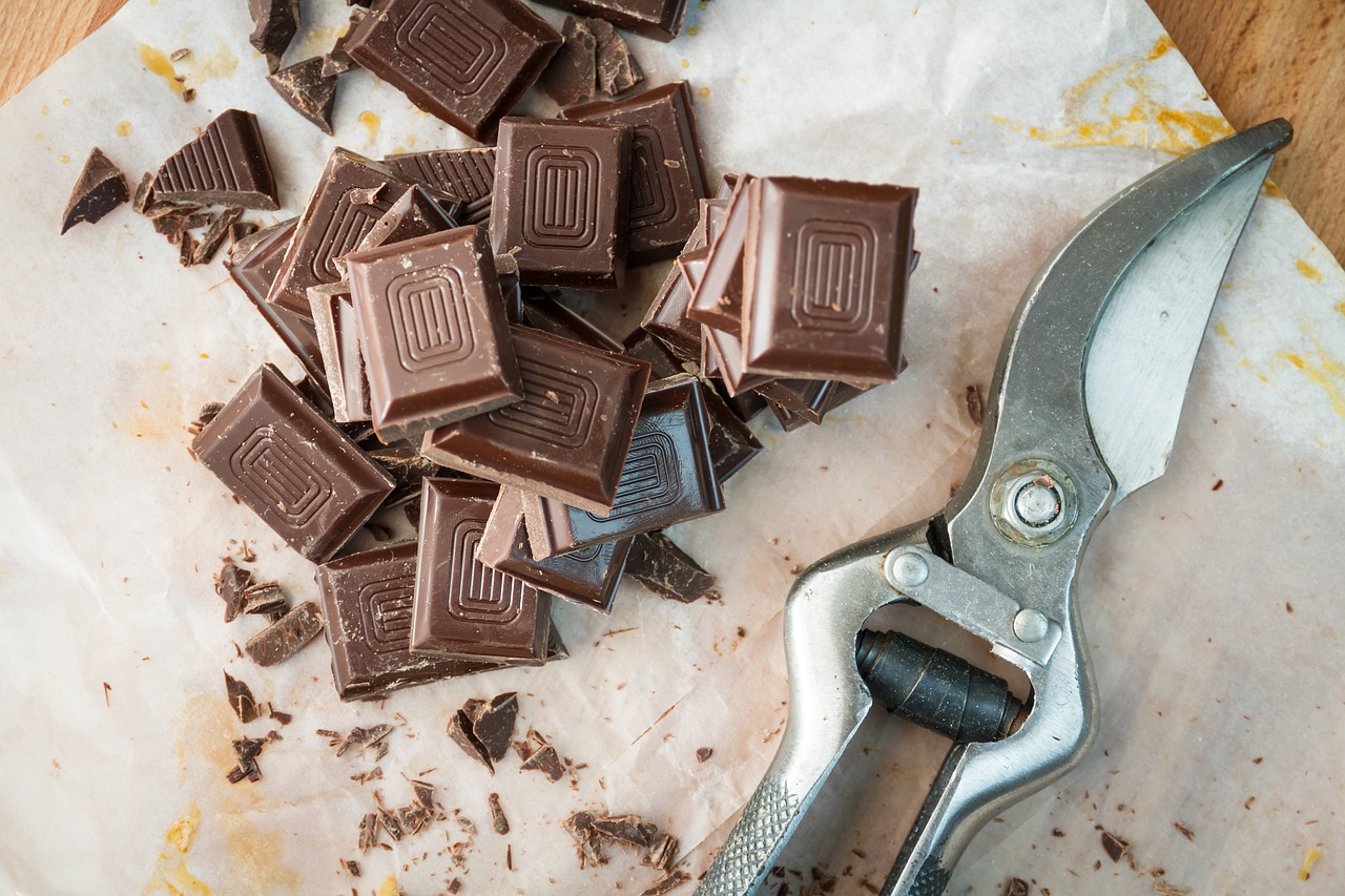 food chocolate tablets free photo