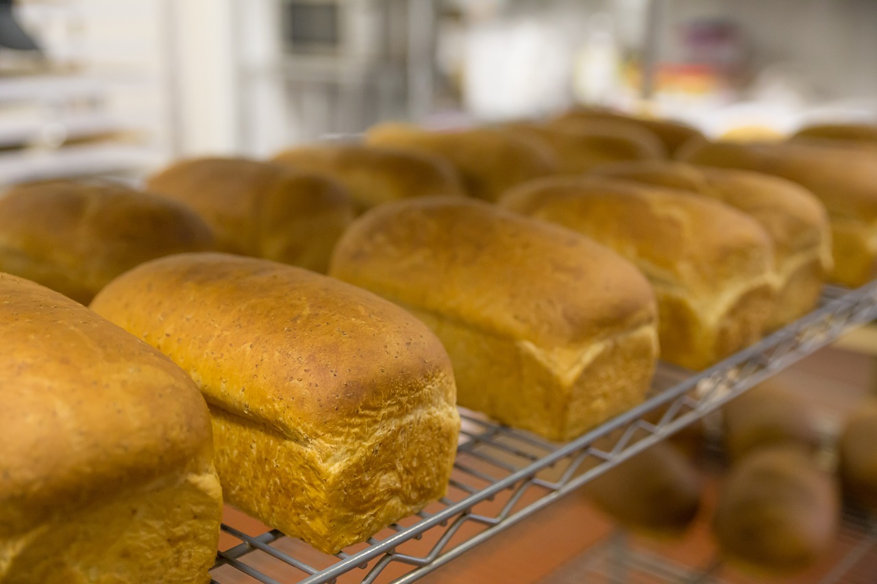 food bread bakery free photo