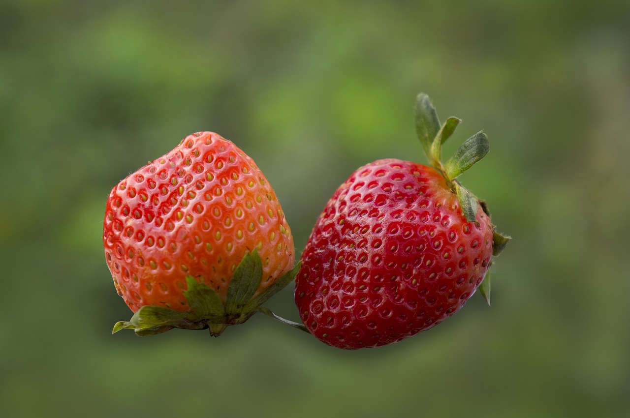 food fruits strawberries free photo