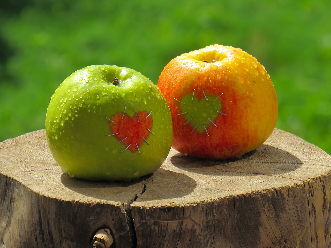 food fruit apple free photo