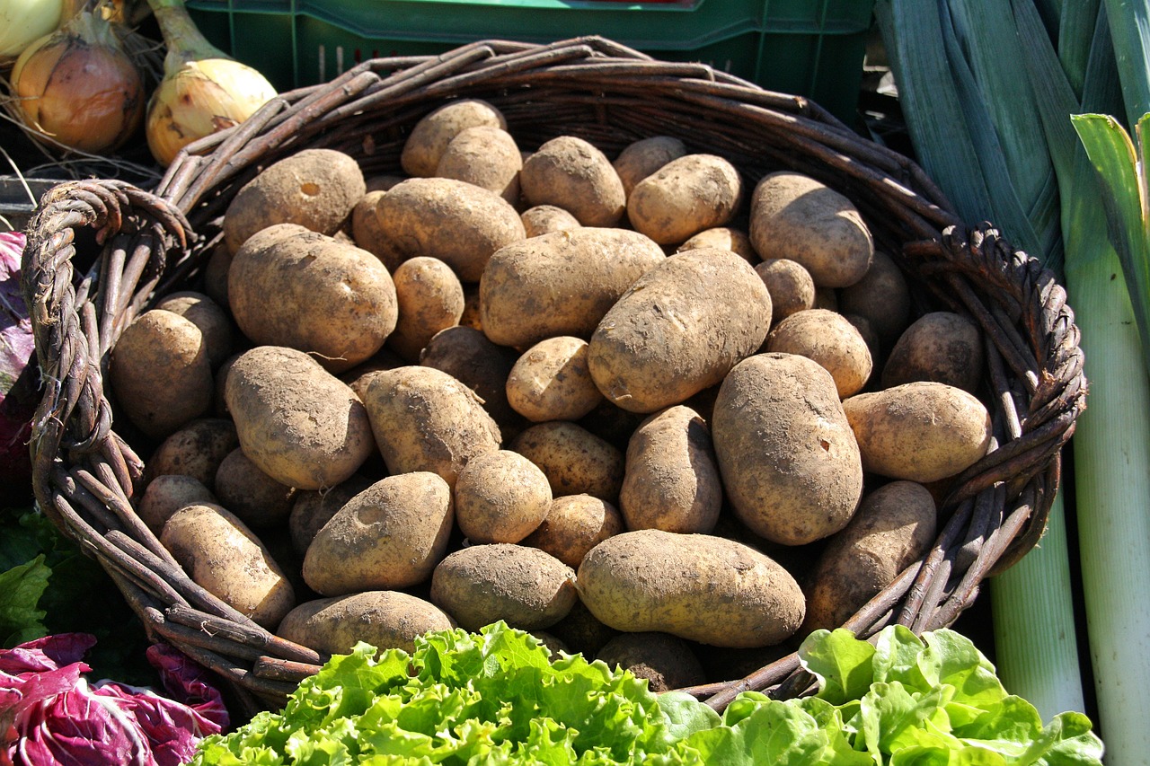 food market vegetables free photo