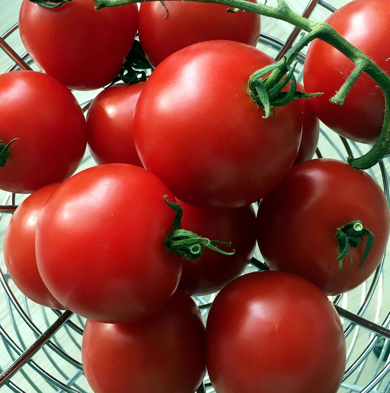 food tomato grow free photo