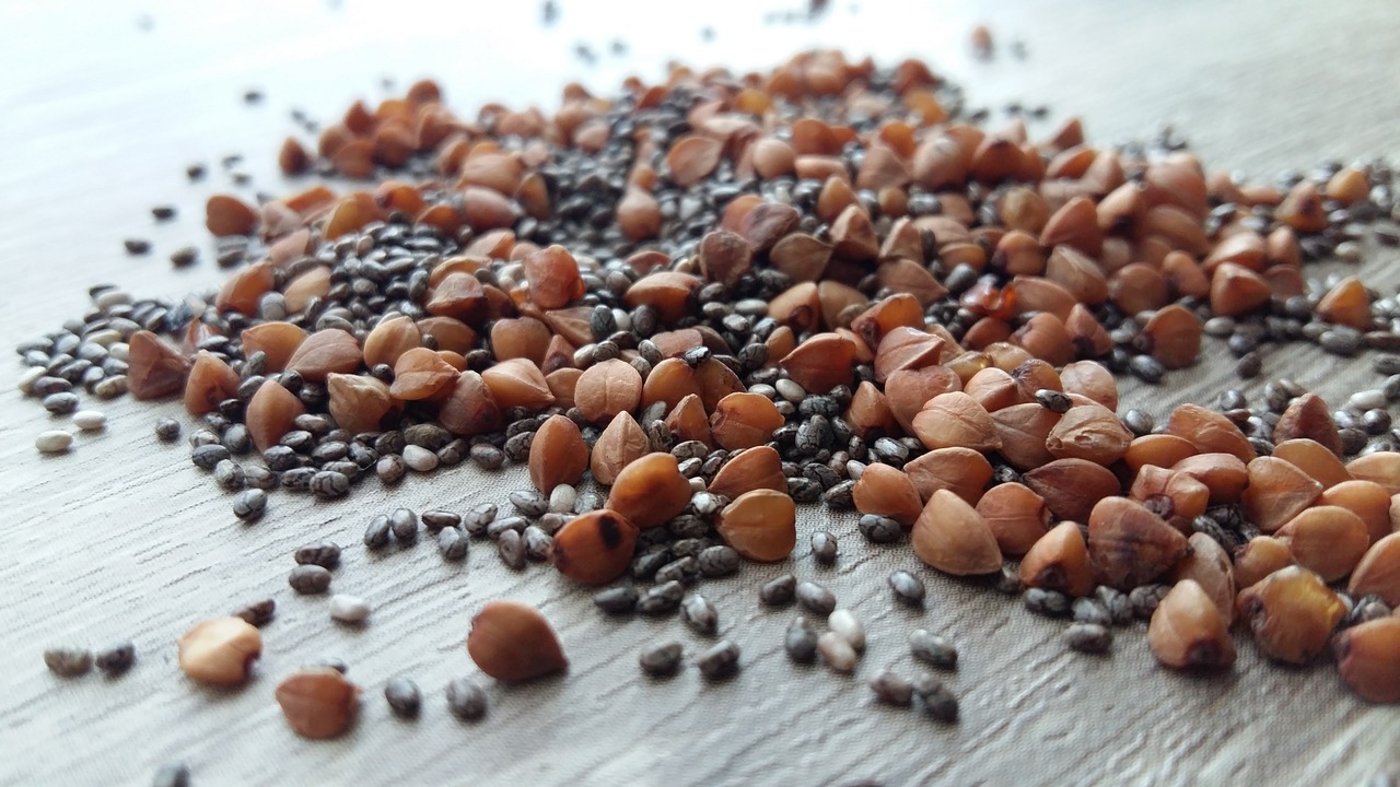 food seed dry free photo