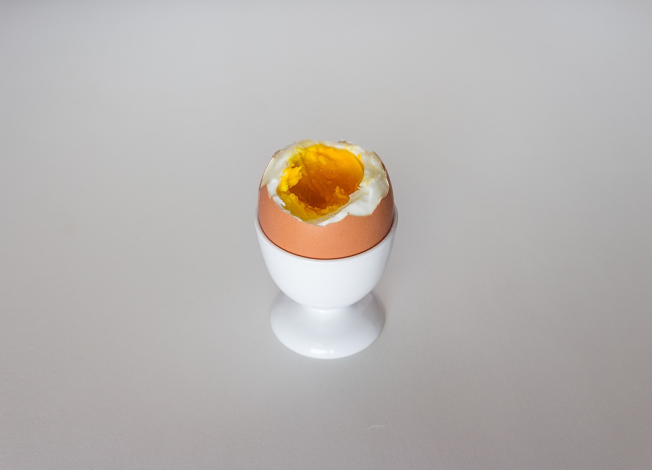 food  egg  protein free photo