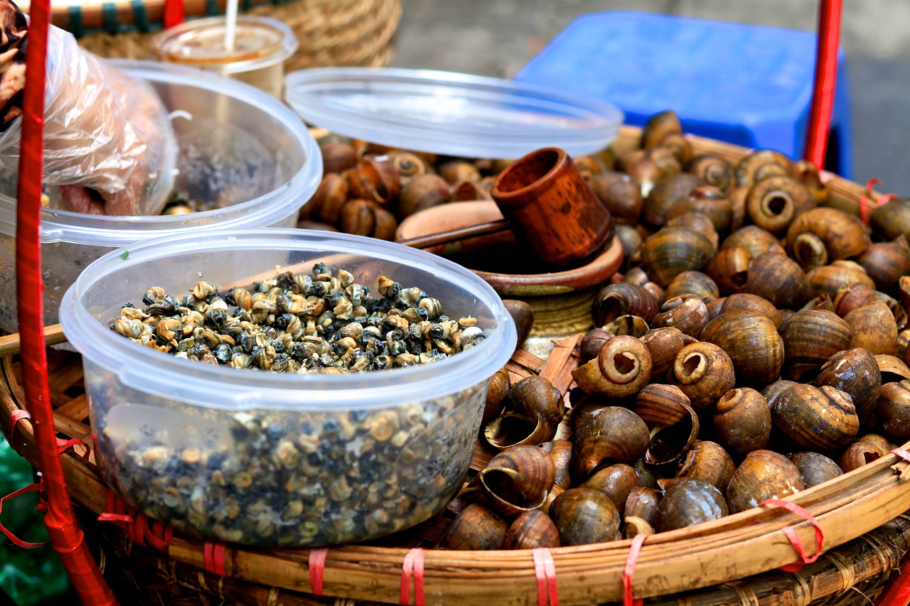 food  hanoi  vietnam free photo