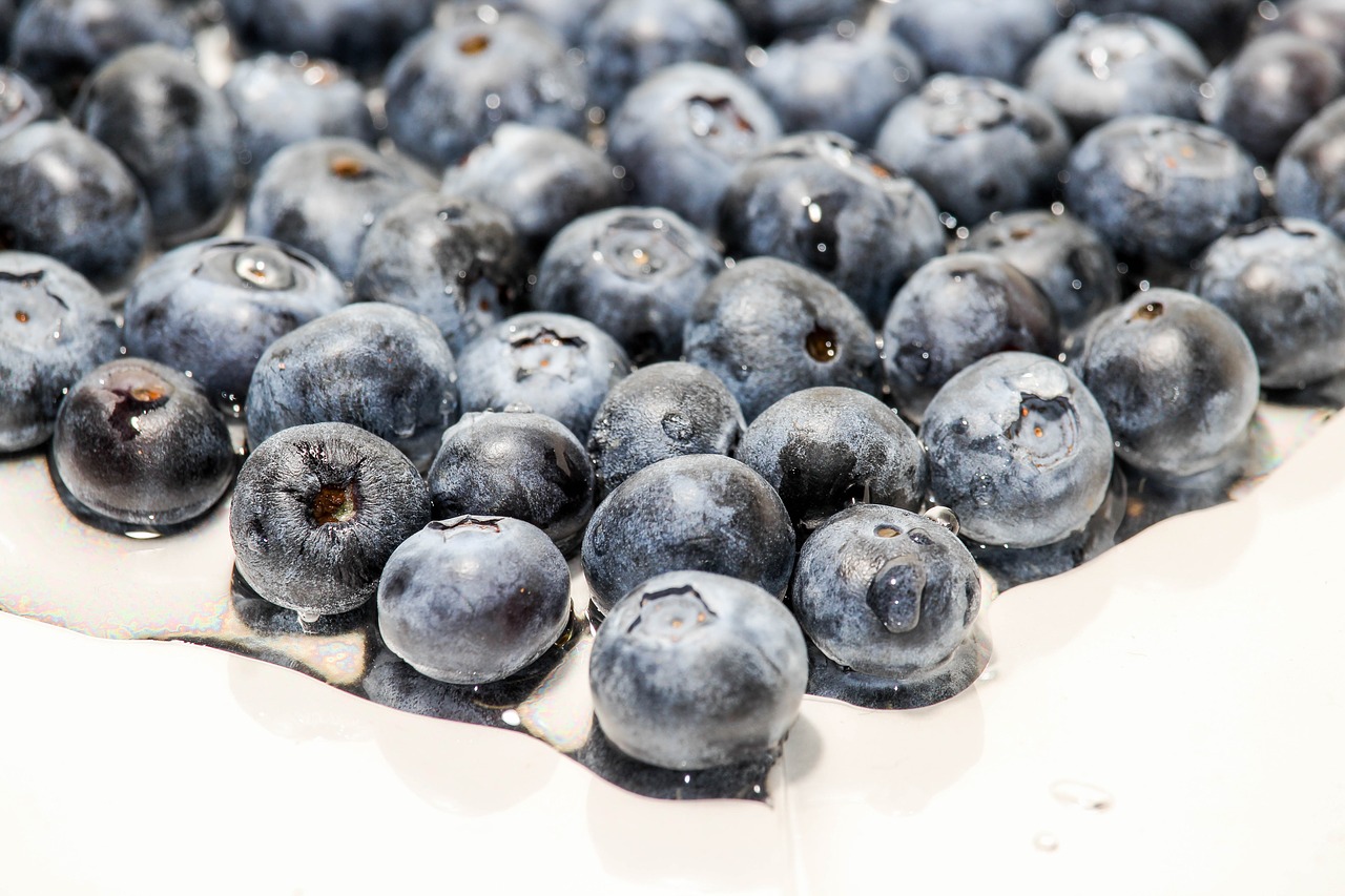 food  fruit  blueberry free photo