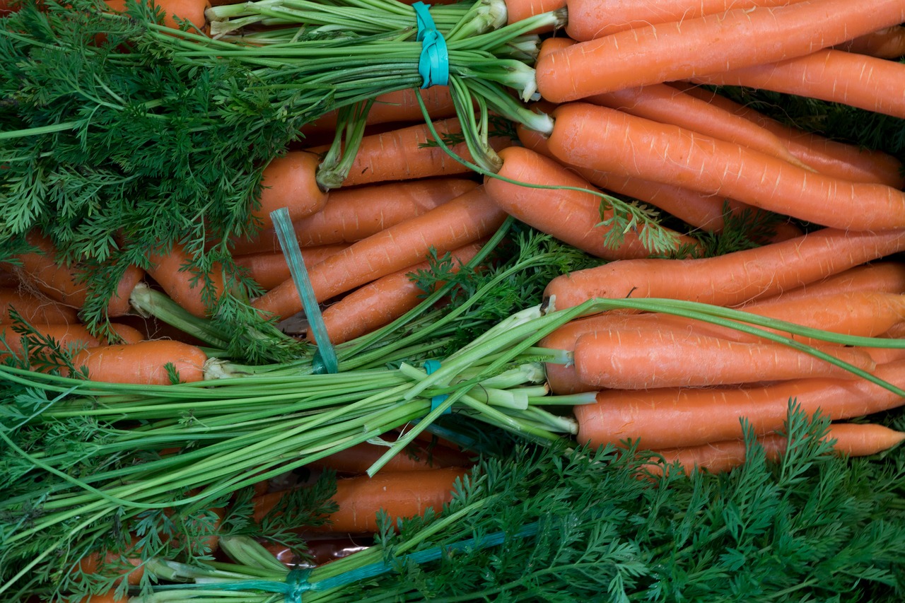 food  vegetables  root free photo