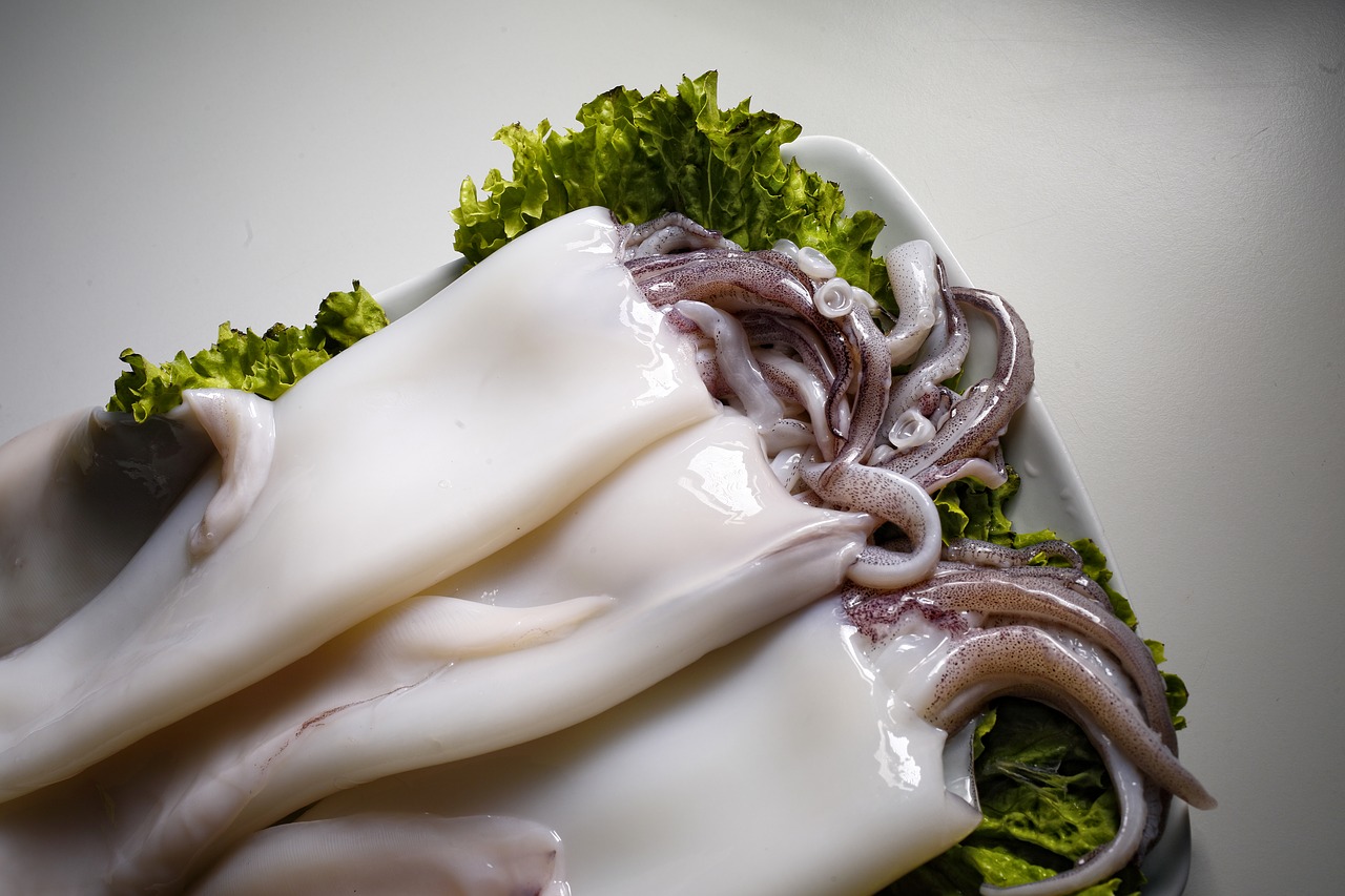 food  squid  high kitchen free photo