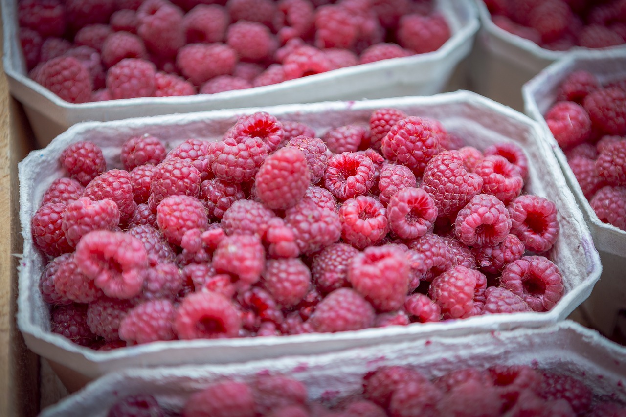 food  raspberries  fresh free photo