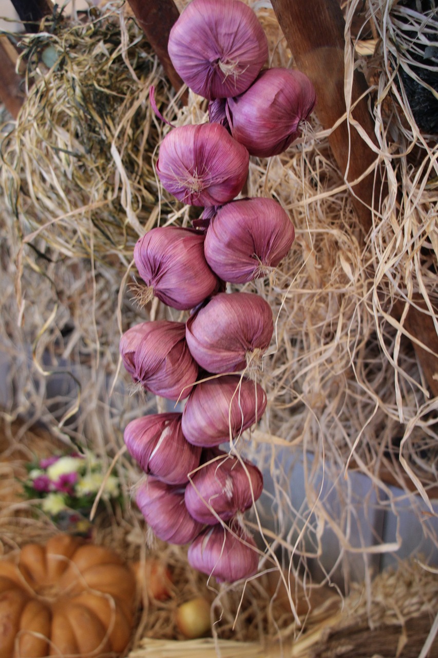 food  onion  garlic free photo