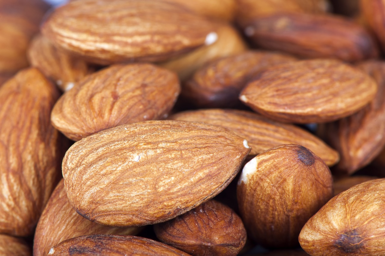 food  almond  nuts free photo