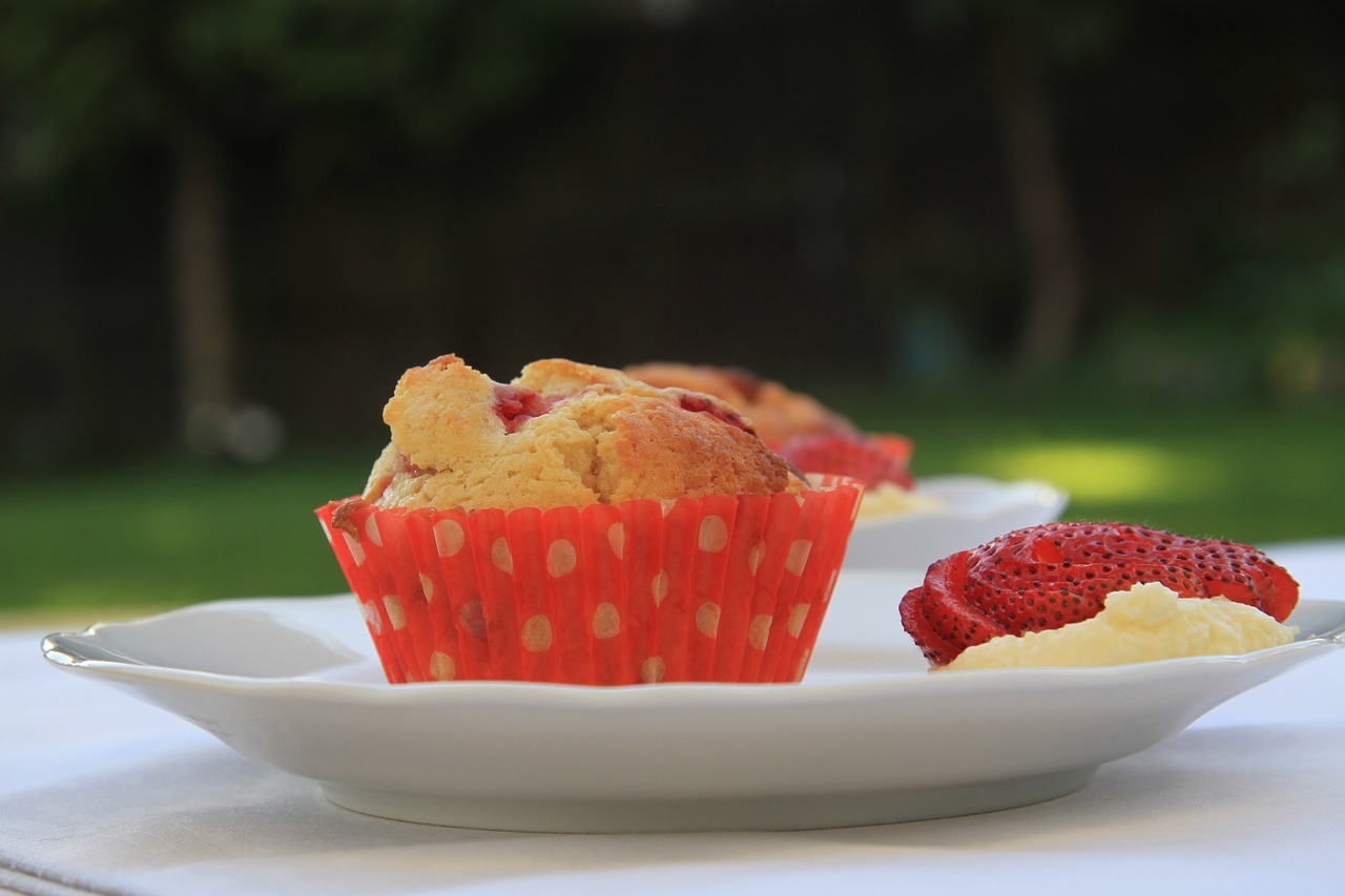food muffins cup cake free photo