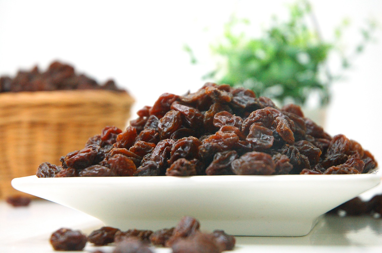 food raisins plum free photo