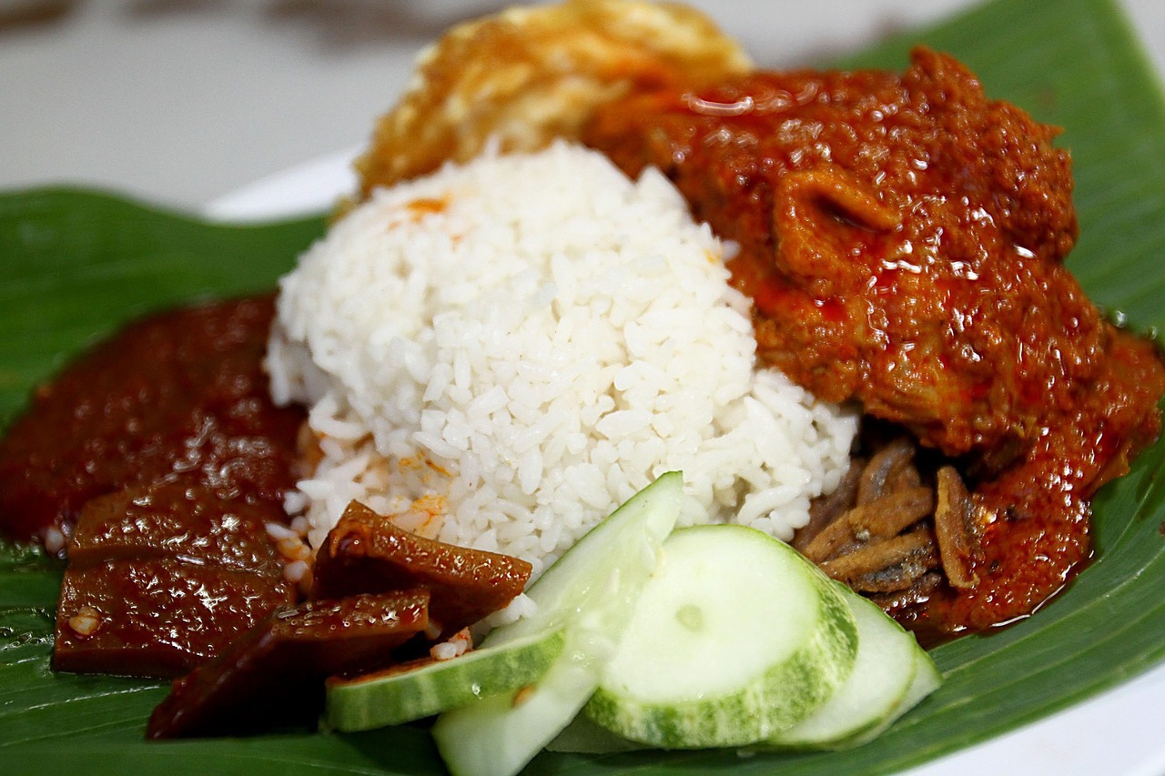 food nasi lemak asia free photo