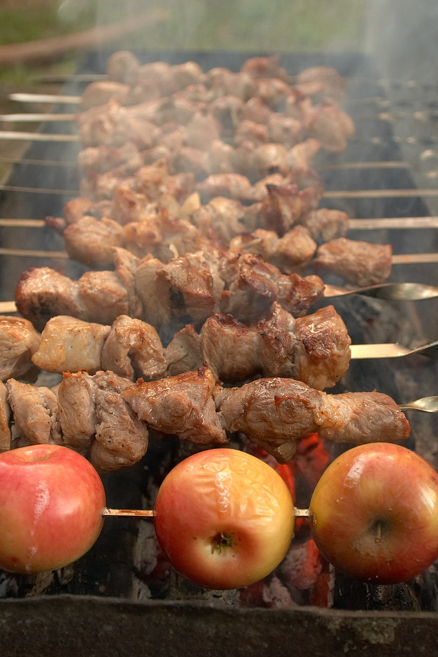 food picnic shish kebab free photo