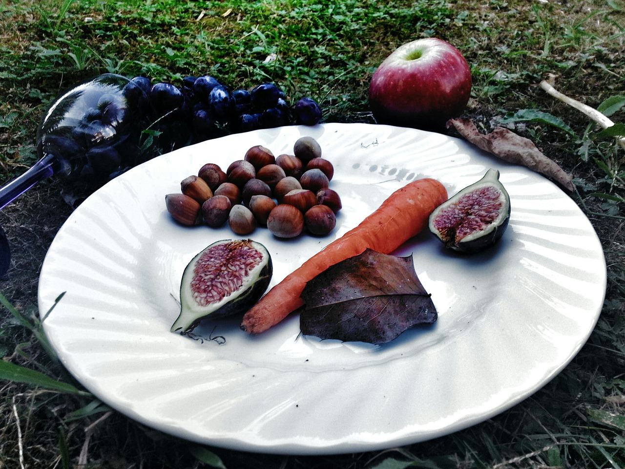 food dish picnic free photo