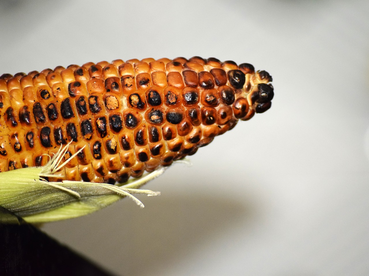 food corn healthy free photo