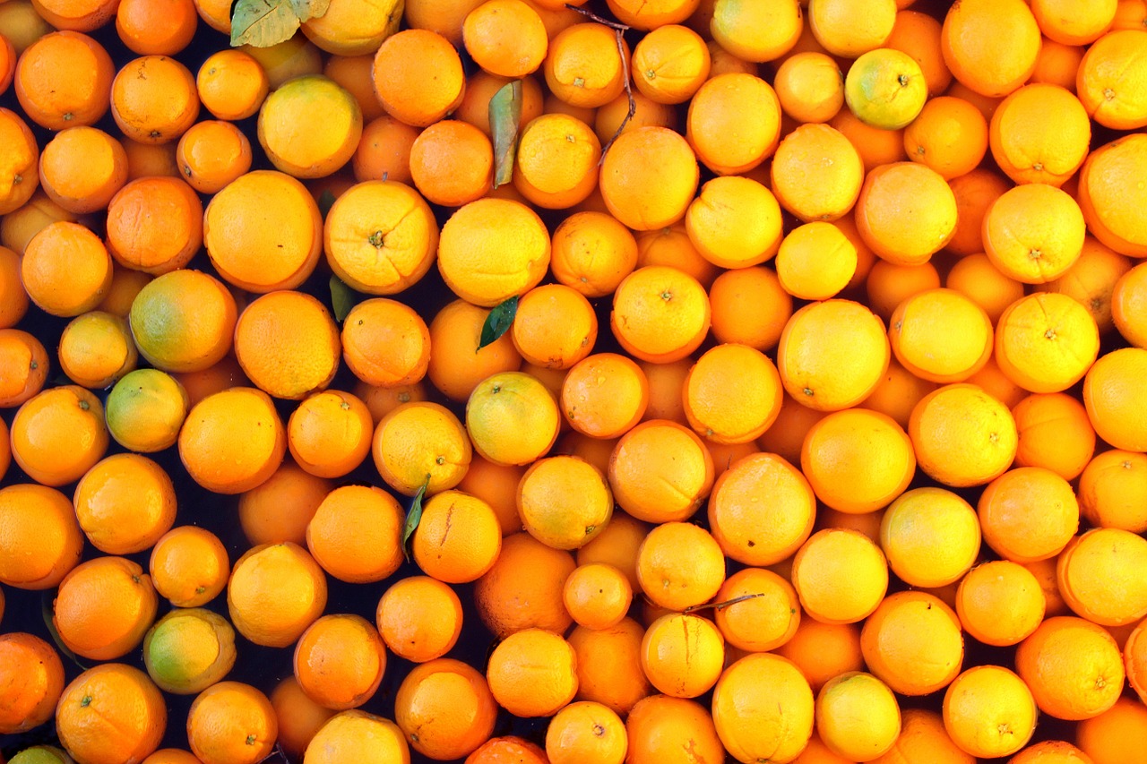 food oranges farm free photo