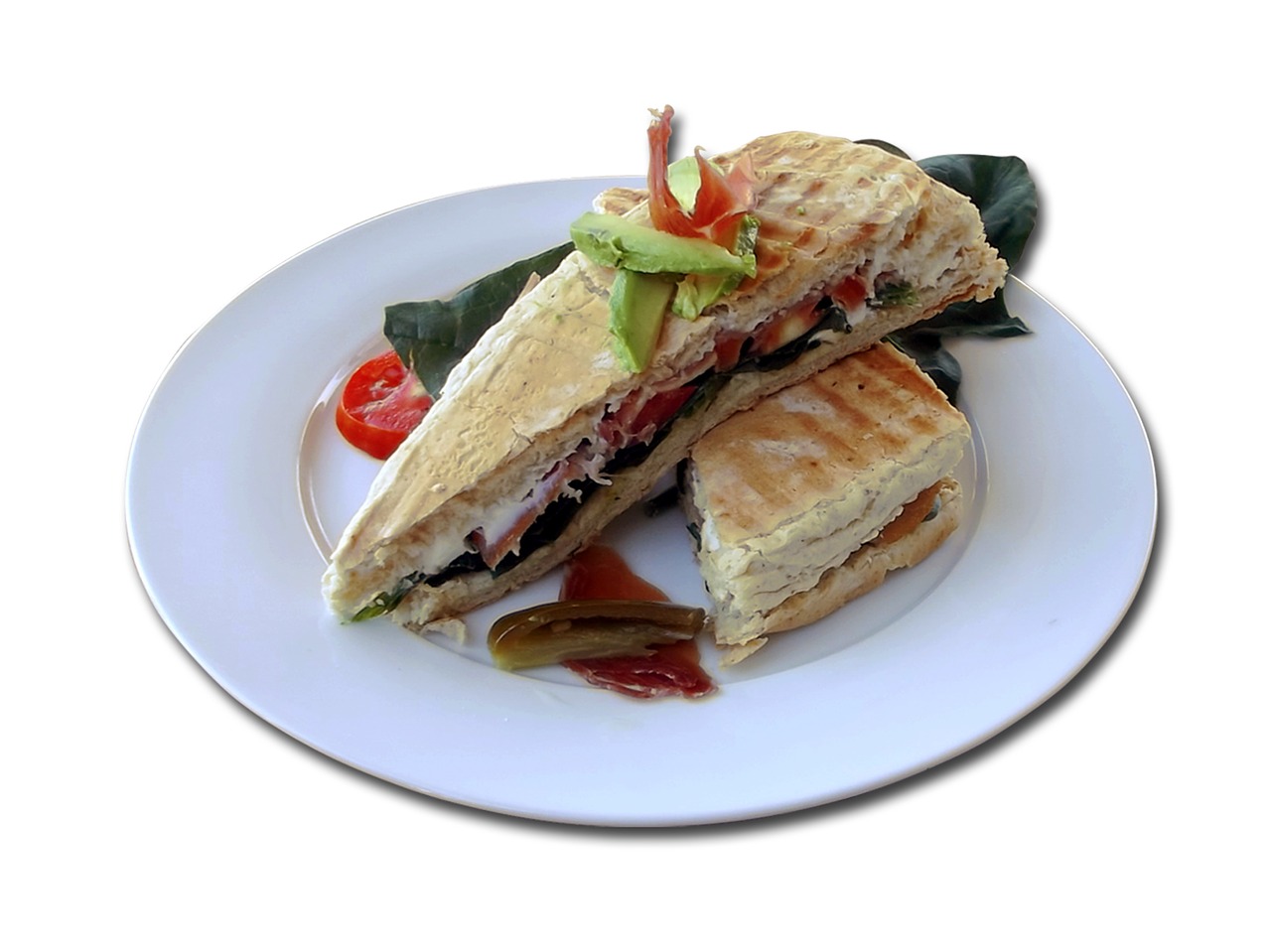 food panini bread free photo