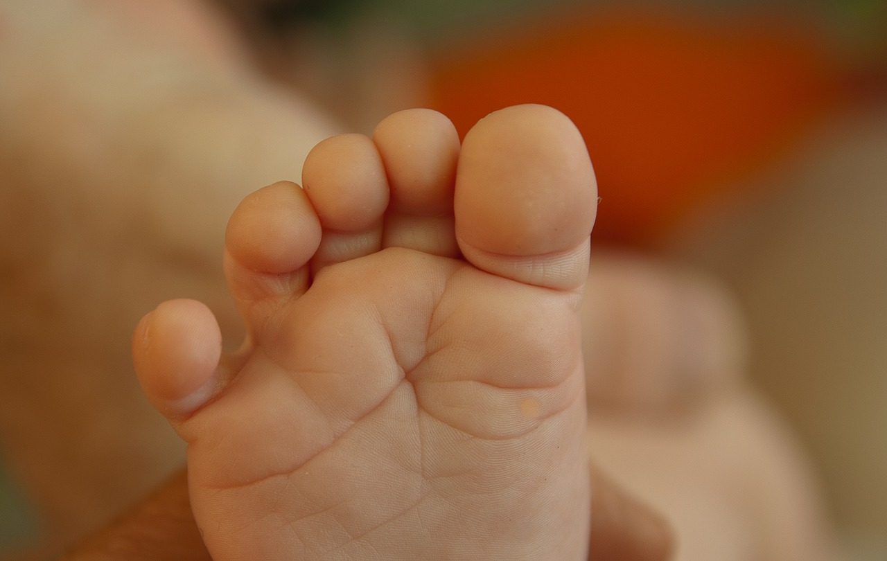foot toes baby free photo