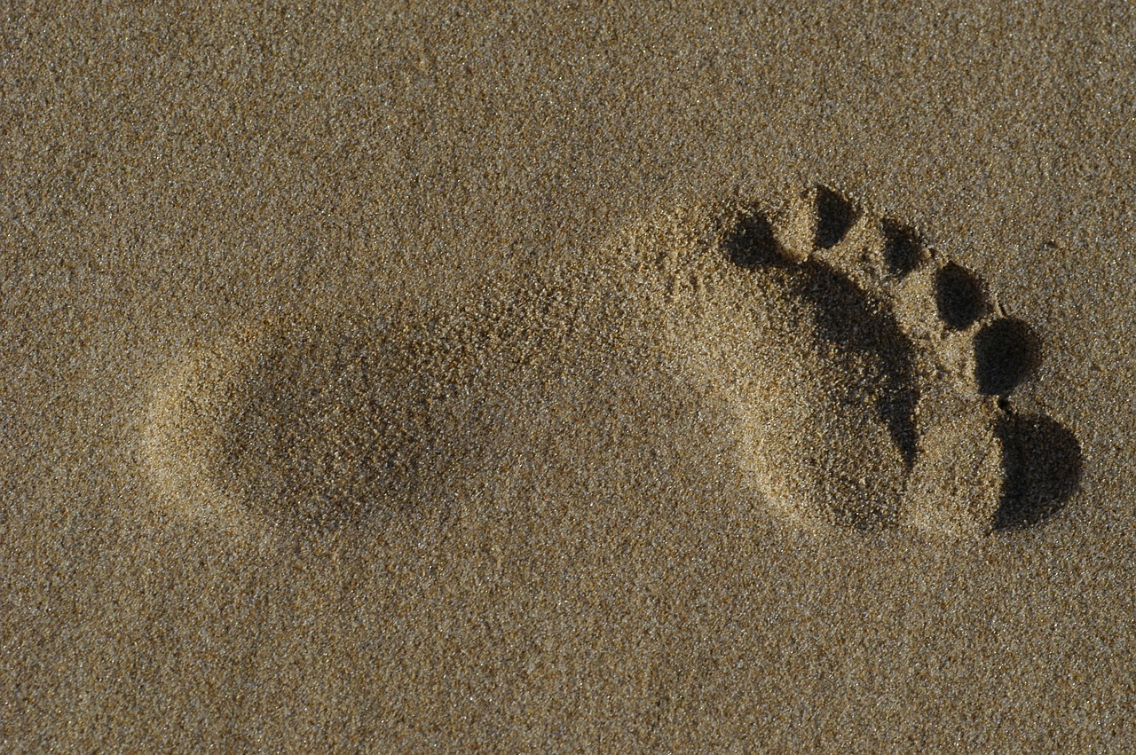 foot sand beach free photo
