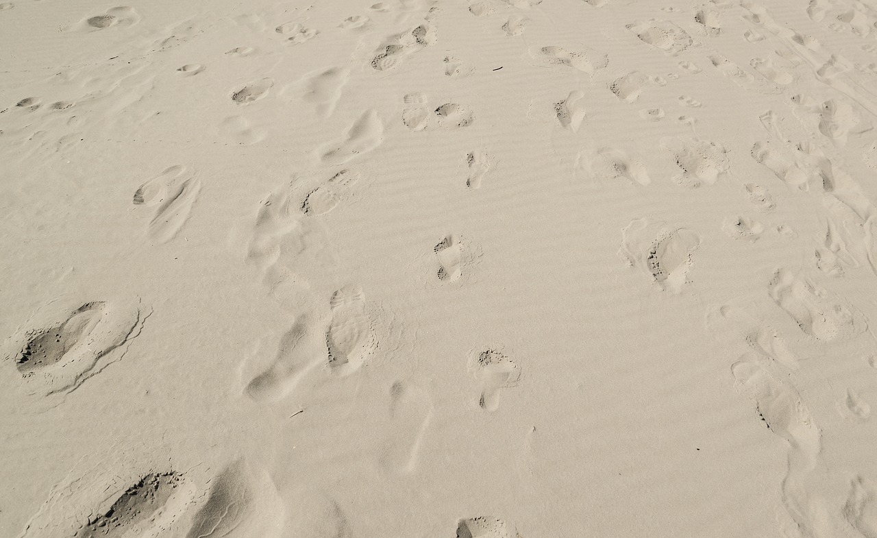 foot print sand free photo