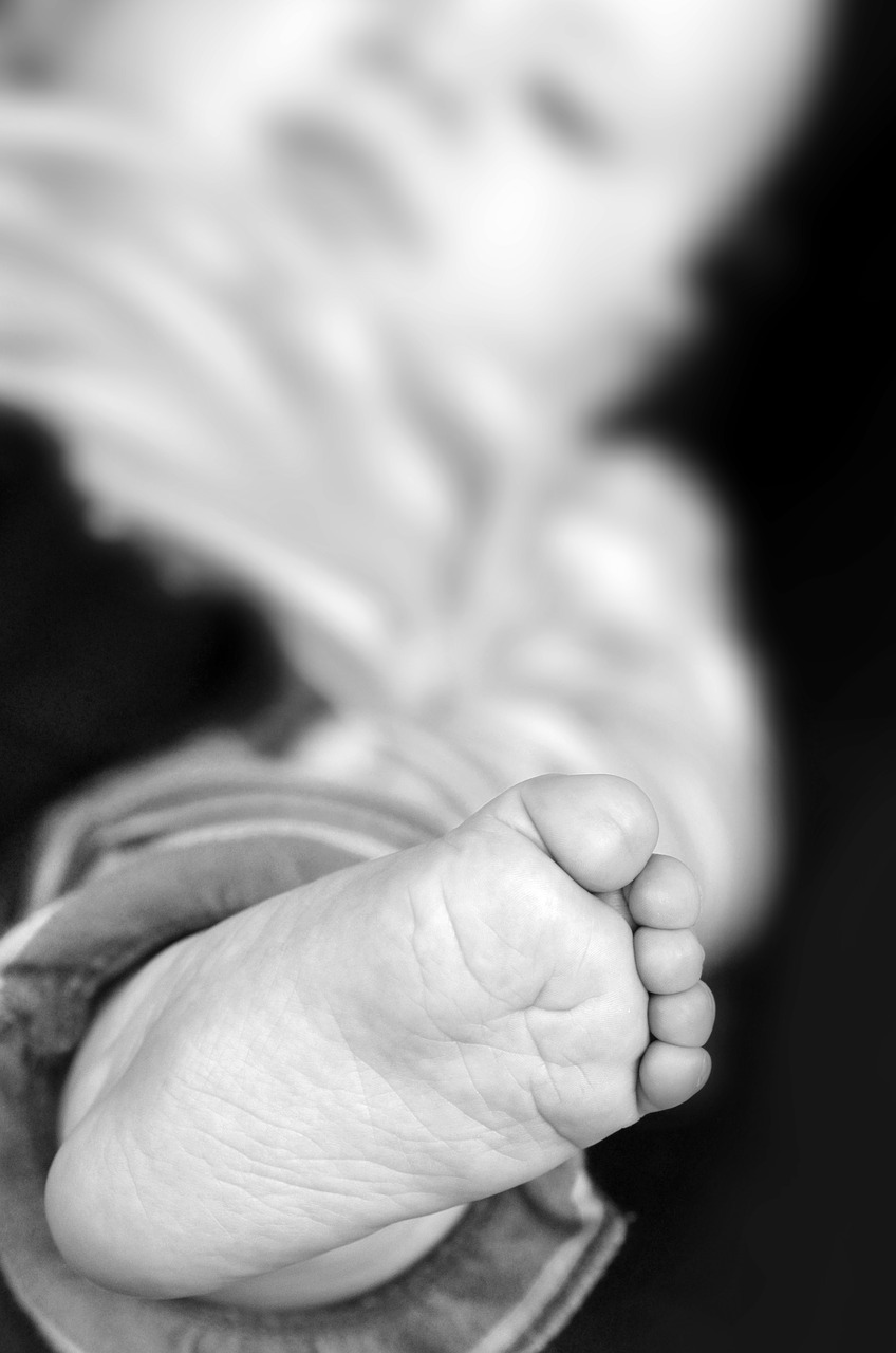 foot baby feet free photo
