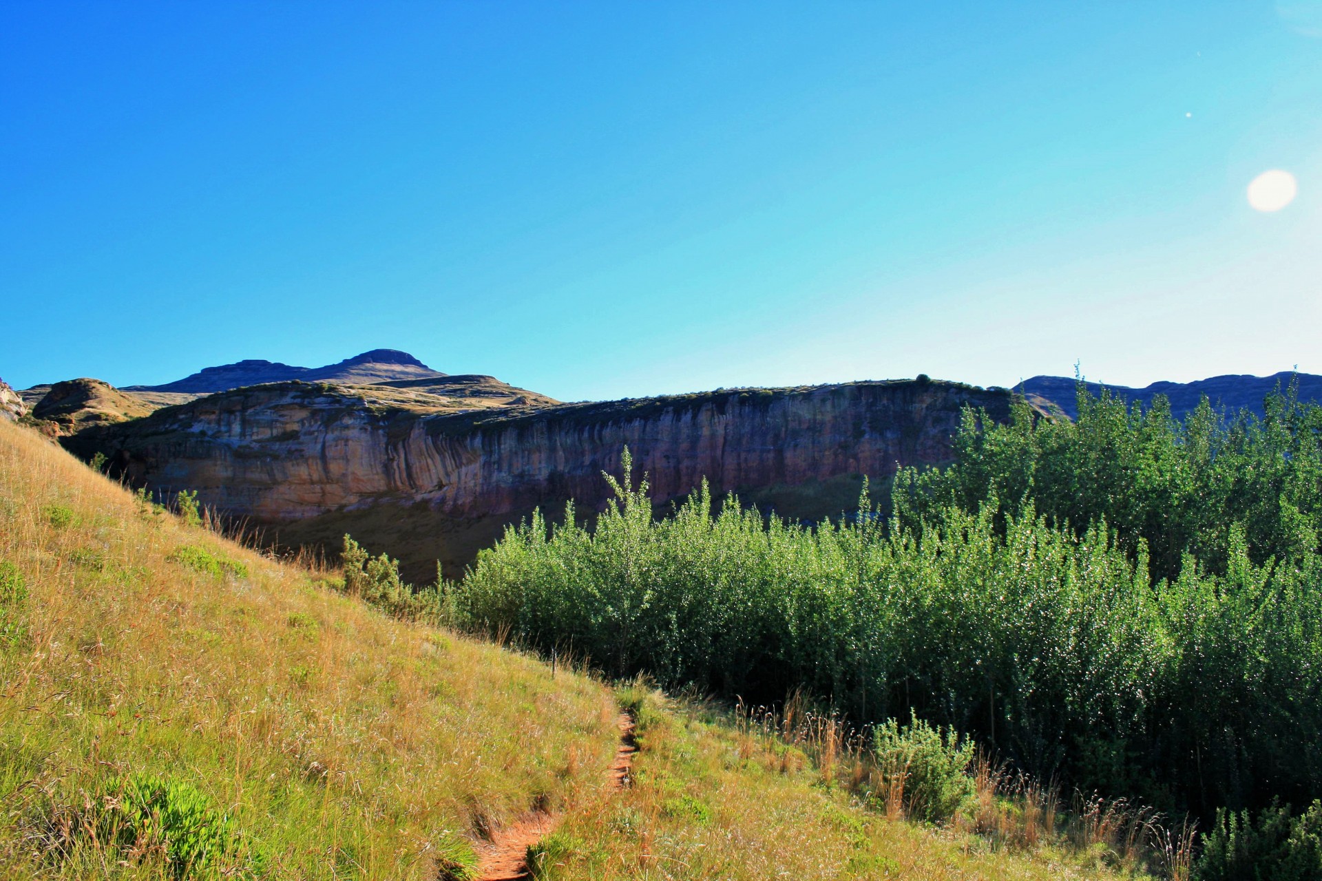 hill slope path free photo