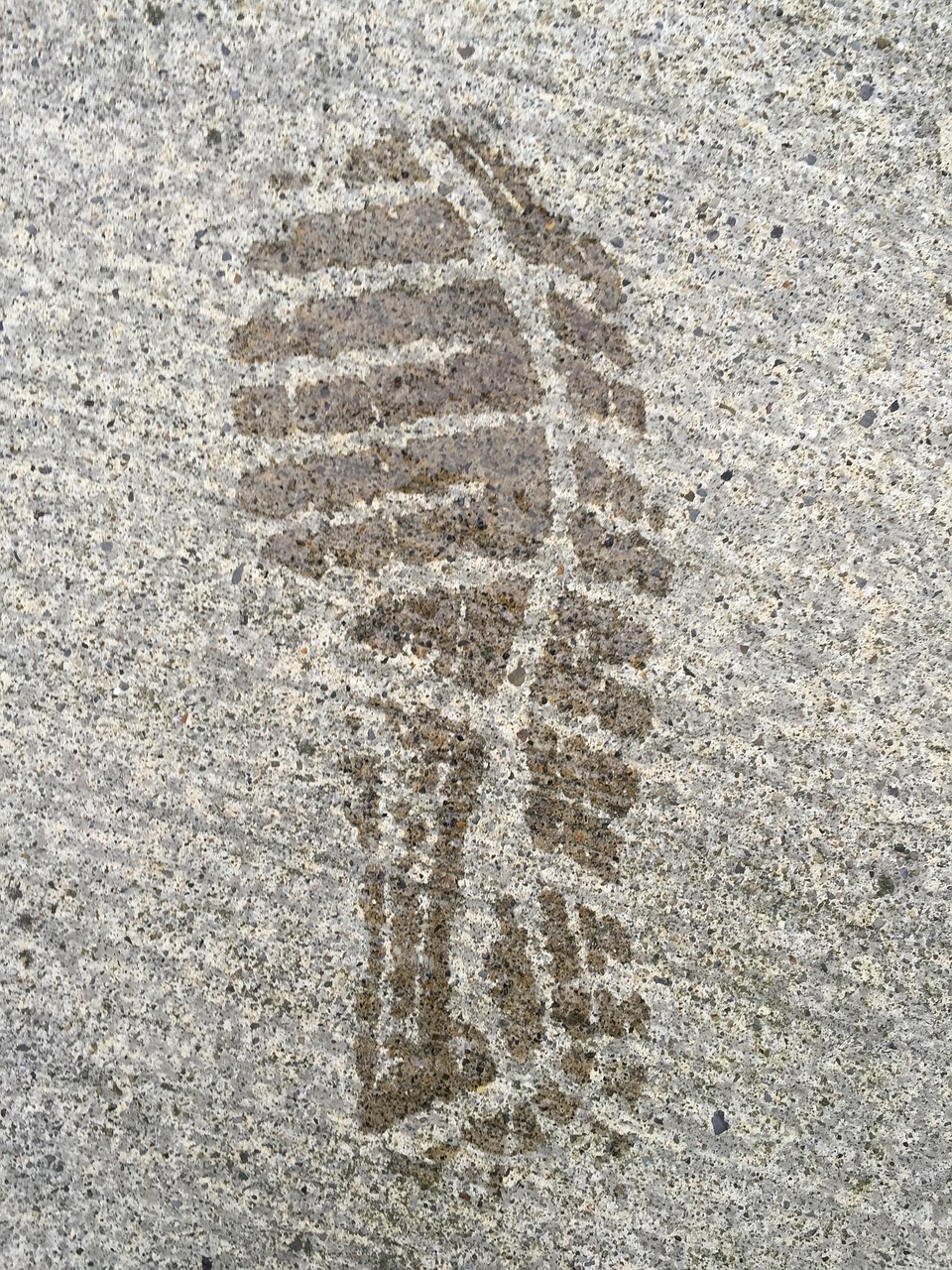 foot print cement grey free photo