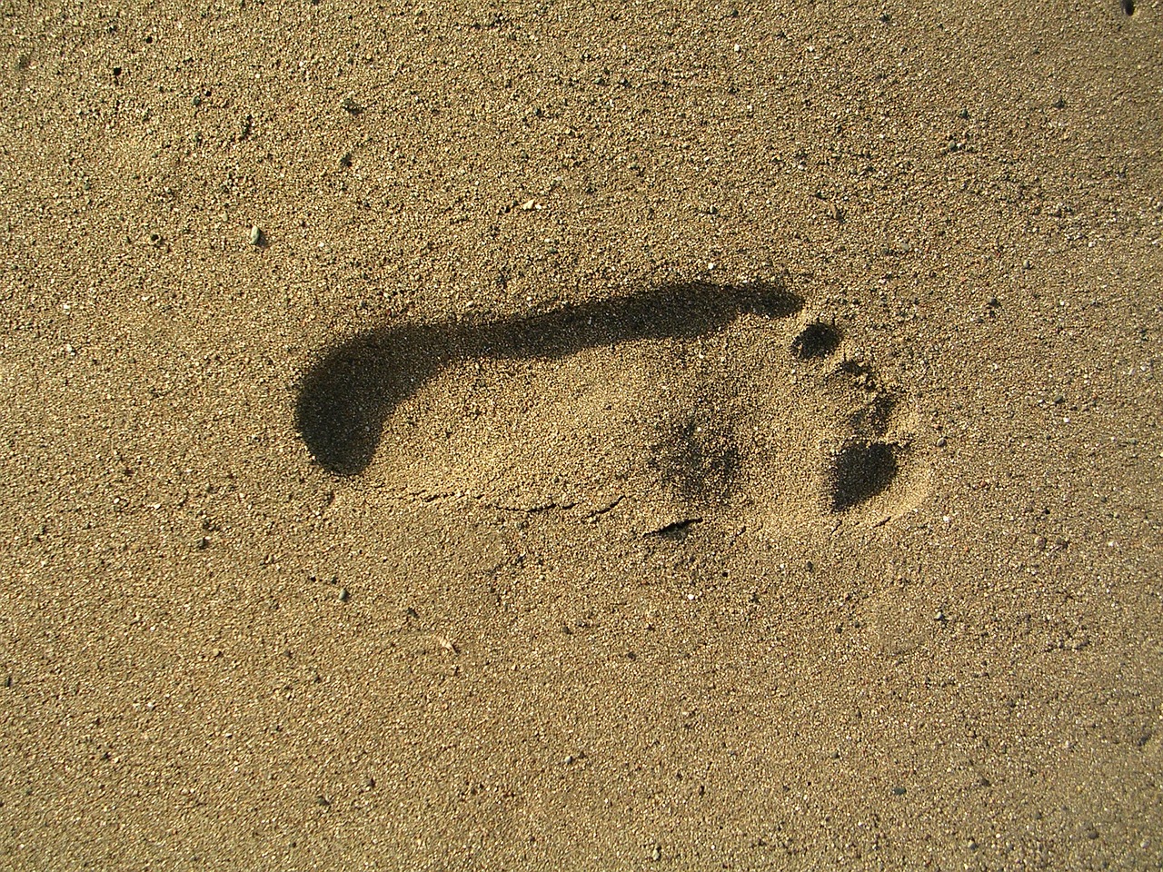 foot print sand sea free photo
